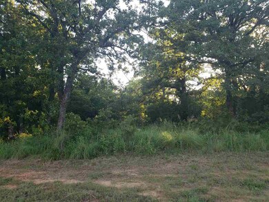 Lot 9 Cole Creek Dr, Marlow, OK 73533 - photo 2