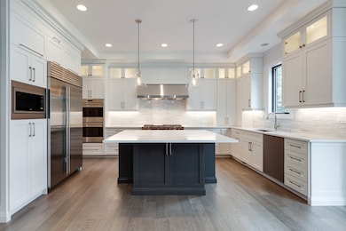 435 N Walnut St, Elmhurst, IL 60126 - photo 5