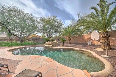 Dream backyard