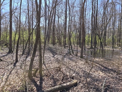 000 Highway 149, Mendenhall, MS 39114 - photo 3