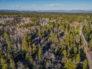 Aerial Photo of Subdivision