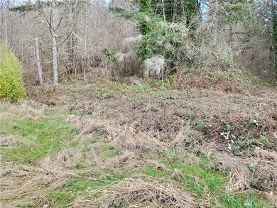 0 Jackson Hwy unit 1739522, Chehalis, WA 98532 - photo 7