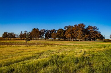 3833 Fm 281, Mineral Wells, TX 76067 - photo 7