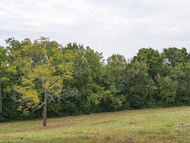 5062 Fords Mill Rd, Versailles, KY 40383 - photo 5