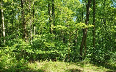 Additional View
