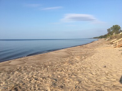 10111 Town Line Ave, Union Pier, MI 49129 - photo 7