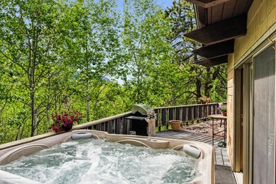 118 E Lupine Dr, Aspen, CO 81611 - photo 4