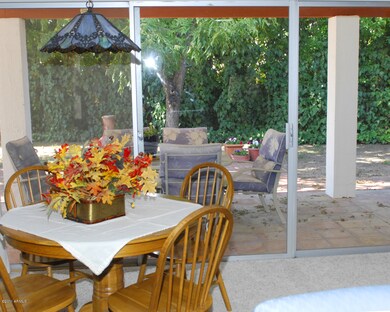 patio2