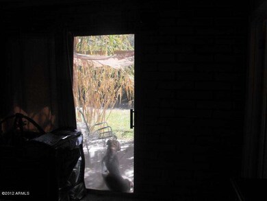 DSCF6003