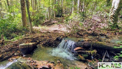 117 Speckled Feather Pass, Sapphire, NC 28774 - photo 3