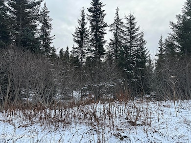 000 Old Sterling Hwy, Anchor Point, AK 99556 - photo 3