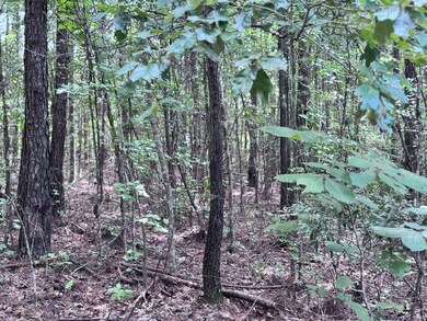 8 Abby Ln, Lumberton, MS 39455 - photo 4