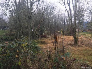 18017 158th Ave SE, Yelm, WA 98597 - photo 5