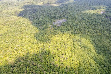 DJI_0960