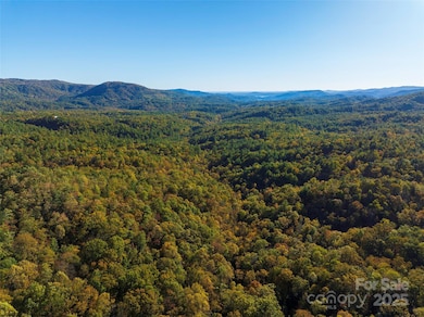 TBD Old Toxaway Rd, Brevard, NC 28712 - photo 3