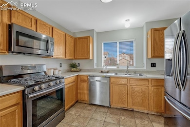 5615 Marabou Way, Colorado Springs, CO 80911 - photo 7