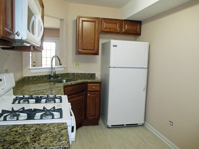 10217 Dearlove Rd, Glenview, IL 60025 - photo 7