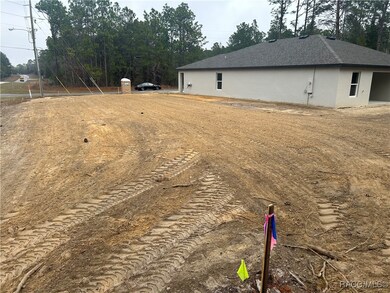 Photo of Actual Home and Homesite