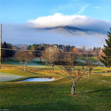 233 Lakeview Place unit D-2, Jefferson, NC 28640 - photo 2