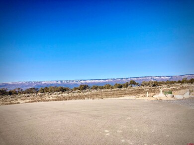 Lot 9 Summit Ct, Cedaredge, CO 81413 - photo 5