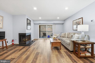 5819 Cove Landing Rd unit 303, Burke, VA 22015 - photo 4