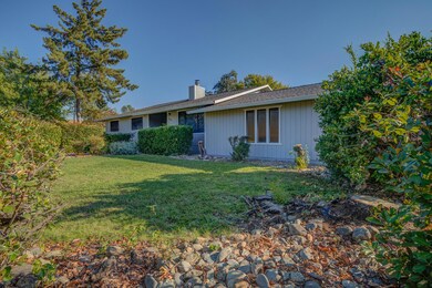front yard