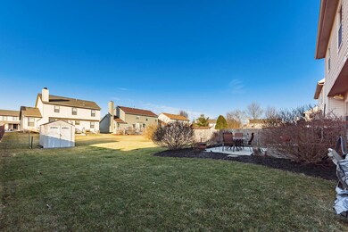 Professional Landscaping Around Patio