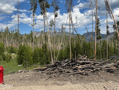 TBD Gcr 471 #3, Grand Lake, CO 80447 - photo 7