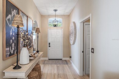 326 Tavernier Dr, Oldsmar, FL 34677 - photo 5