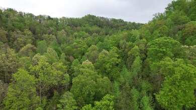 20250505094918_IMG_3549