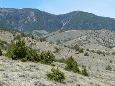 22 Ruby Creek Rd, Red Lodge, MT 59068 - photo 7