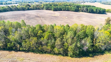381 Kiper Whiteworth Lot View