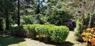 20180527_134521