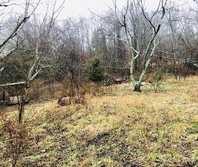 10492 Devils Den Rd, Winslow, AR 72959 - photo 2