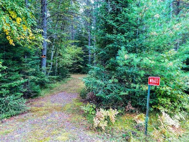 W8603 Wauwatosa Ave, Tomahawk, WI 54487 - photo 2