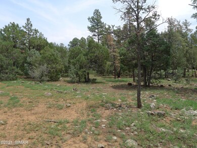 4940 S 32nd St, Show Low, AZ 85901 - photo 7