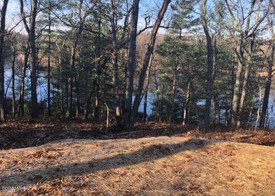 8205 N Perch Lake Dr, Bitely, MI 49309 - photo 4