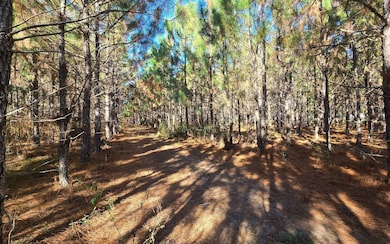 TBD-3 221st Rd, Dowling Park, FL 32060 - photo 3