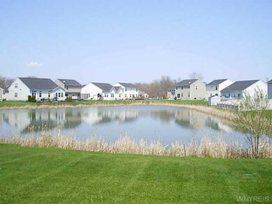 Backyard View of the pond