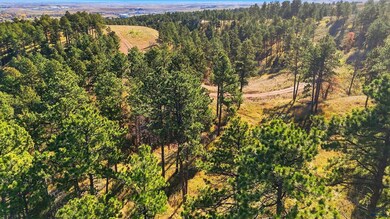 Lot17A W Minnesota St, Rapid City, SD 57701 - photo 2