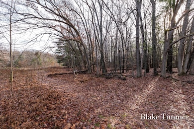 0 E 88th St unit 25061606, Newaygo, MI 49337 - photo 3