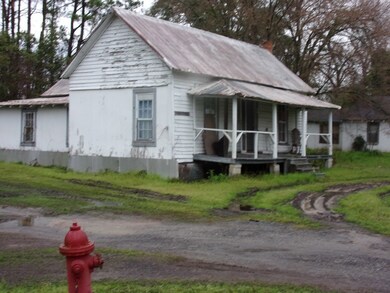0 Mt Vernon and Washington Streets unit 18161, Mt. Vernon, GA 30445 - photo 2