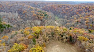 Tract 12 Polston Ln, Hickory Grove Township, MO 63357 - photo 4