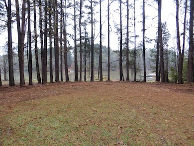 00 Sugar Creek Trail, Buckhead, GA 30625 - photo 2