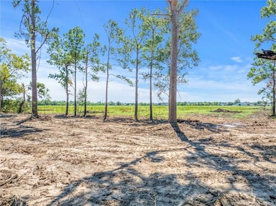0 Miller Ln, Lake Charles, LA 70605 - photo 2