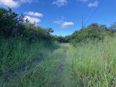 94-6374 Pele St, Naalehu, HI 96772 - photo 5