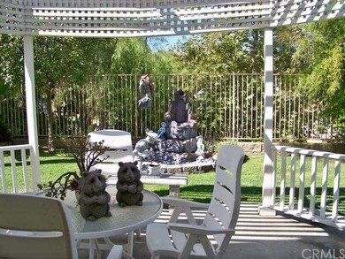 Back Yard Showing Fountain