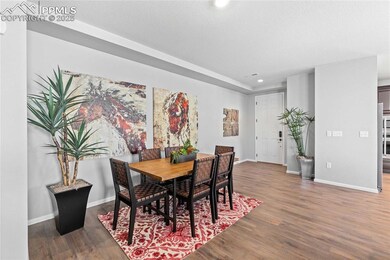 6234 Lythmore Grove, Colorado Springs, CO 80927 - photo 3