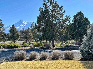 16531 Friar Rd, Weed, CA 96094 - photo 2