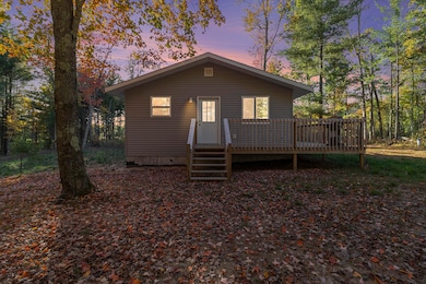 6483 S Emma Ave, Baldwin, MI 49304 - photo 2